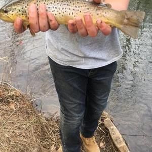 Meet your Posher, Garret